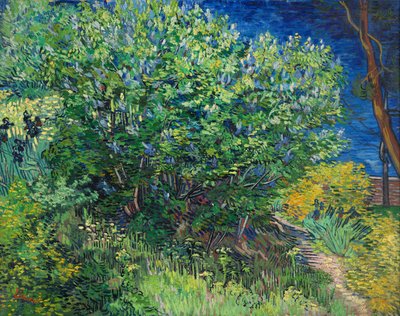 Orgona alkotó: Vincent van Gogh