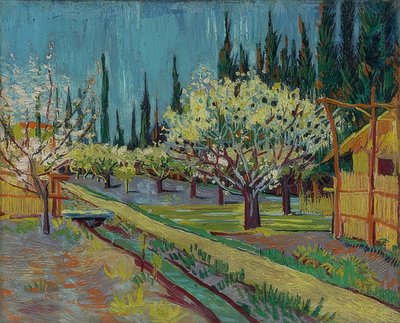 Ciprusfákkal körülvett gyümölcsös. 1888 alkotó: Vincent van Gogh