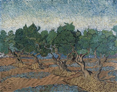 Olive Grove alkotó: Vincent van Gogh
