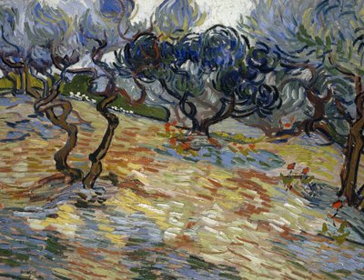 Olajfák: Ragyogó kék ég alkotó: Vincent van Gogh