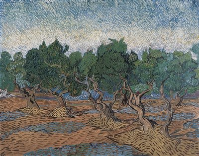 Olajfaliget. 1889 alkotó: Vincent van Gogh