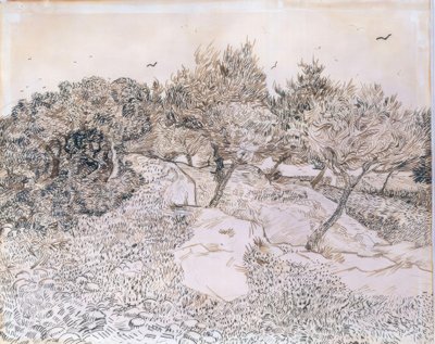 Olajfák Montmajourban alkotó: Vincent van Gogh