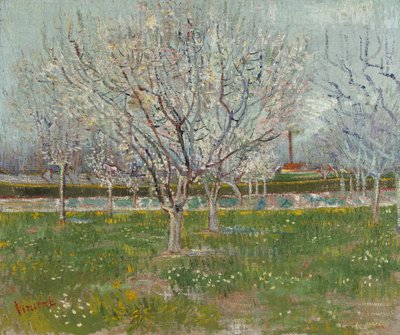 Virágos gyümölcsös (szilvafák) alkotó: Vincent van Gogh