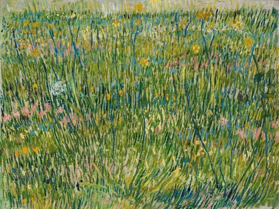 Füves terület alkotó: Vincent van Gogh