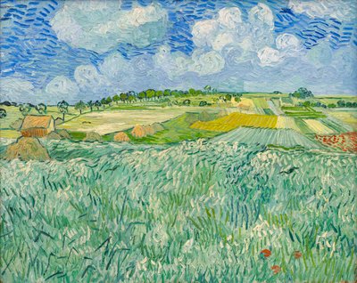 Síkság Auvers közelében alkotó: Vincent van Gogh
