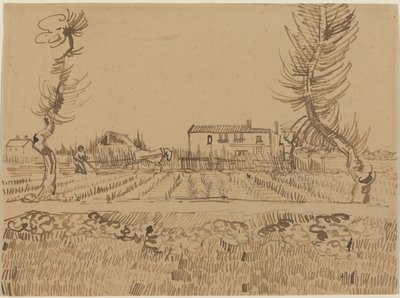 Szántóvető Arles melletti földeken alkotó: Vincent van Gogh