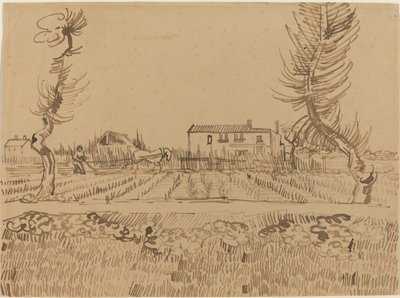 Szántóember az Arles melletti mezőkön, 1888. alkotó: Vincent van Gogh