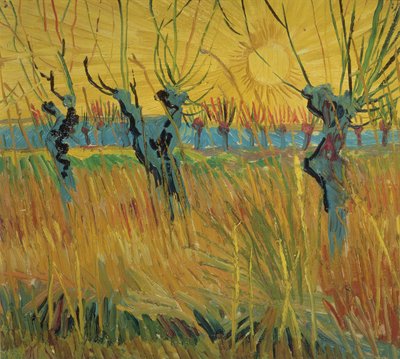 Pollarded fűzfák és a lenyugvó nap alkotó: Vincent van Gogh