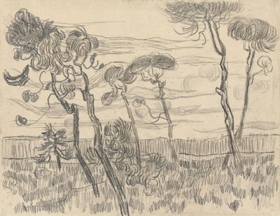 Hat fenyő a házfal mellett, 1899 alkotó: Vincent van Gogh