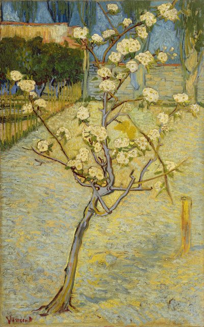 Kis virágzó körtefa alkotó: Vincent van Gogh