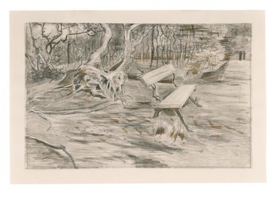 A pad, 1882 alkotó: Vincent van Gogh