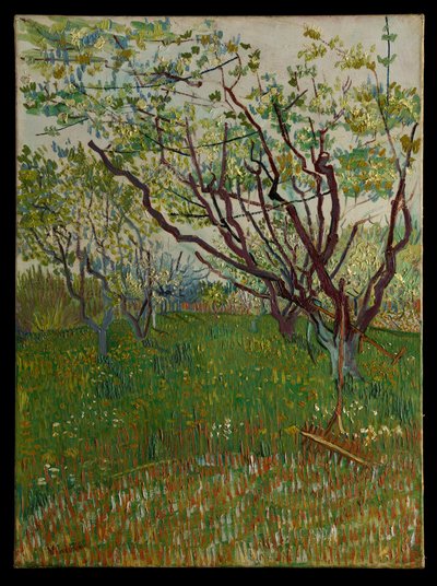 Virágzó gyümölcsös alkotó: Vincent van Gogh