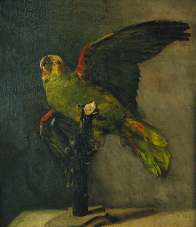 A zöld papagáj; A zöld papagáj, 1885 alkotó: Vincent van Gogh