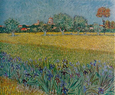 Ales látképe virágzó íriszekkel, 1888 alkotó: Vincent van Gogh