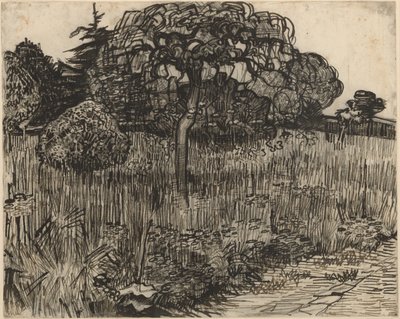 Könnyező fa alkotó: Vincent van Gogh
