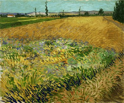 Búzamező alkotó: Vincent van Gogh