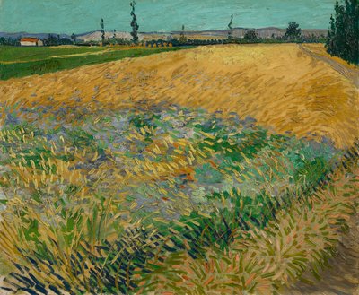 Wheatfield alkotó: Vincent van Gogh