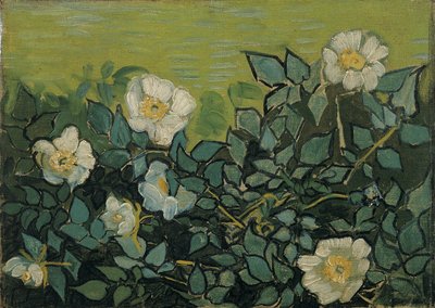 Vadrózsák alkotó: Vincent van Gogh