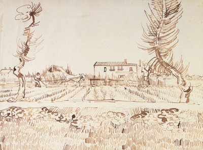 Munka a mezőkön Arles-ban; Plowman in the Fields, Arles, 1888 alkotó: Vincent van Gogh