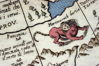 Egy manticore ábrázolása, egy fantasztikus lény emberi fejjel (gyakran szarvakkal, kék szemekkel és három fogsorral), skorpió- vagy sárkányfarokkal és oroszlántesttel. Vincenzo coronelli (1650-1718) világtérképének részlete. 17. század alkotó: Vincenzo Maria Coronelli