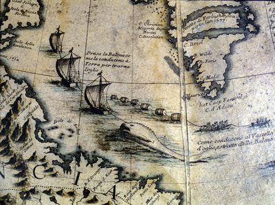 Bálnavadászat: a bálnát a partra viszik, hogy olajat nyerjenek ki. Coronelli földgömbjéről. 17. század. alkotó: Vincenzo Maria Coronelli