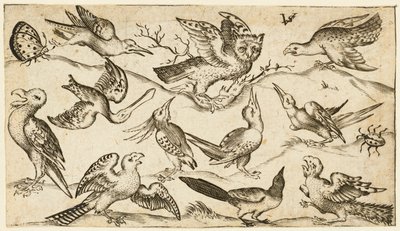 Tizenegy madár és két rovar minimális talajon, kitárt szárnyú bagollyal..., 1572. alkotó: Virgil Solis