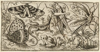Rovarok és állatok csoportja sík, füves talajon..., 1530 - 1562. alkotó: Virgil Solis