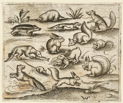 Kis erdei lények csoportja, akik esznek és futnak egy tóban, köztük egy egér..., 1557. alkotó: Virgil Solis