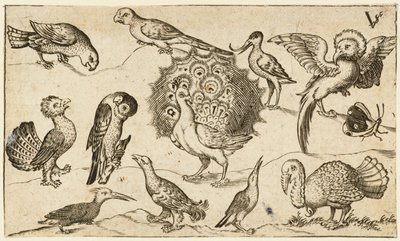 Páva a közepén, körülötte kilenc másik madár, köztük egy pulyka és egy pillangó..., 1572. alkotó: Virgil Solis