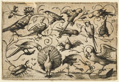 Tíz madár kis lombindákon, gólyával, aki indát köt a pelikán lábára..., 1540. alkotó: Virgil Solis