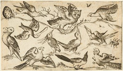 Tizenegy madár és két rovar minimális talajon, középen egy ágon ülve, kinyújtott szárnyú bagollyal, körülötte más madarak és baglyot ugratva, a Douce Ornament Prints I. albumából, 1572 után (metszet fektetett papírra) alkotó: Virgilius the elder (after) Solis
