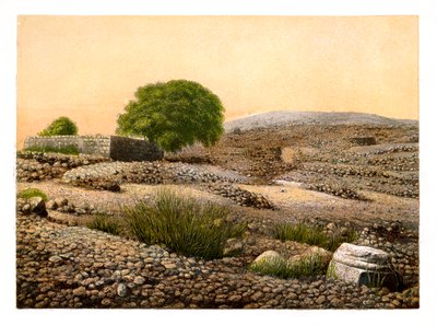 Shiloh, 1870. alkotó: W. Dickens