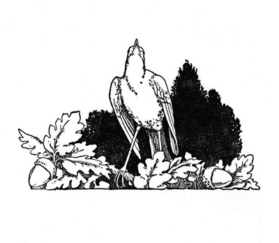 Az ágak között élt egy csalogány, 1930 alkotó: William Heath Robinson
