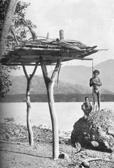 Halotti emelvény Új-Guineában, 1902 alkotó: W. Lindt