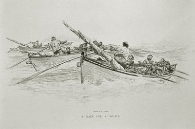 „A Race for a Whale”, a „The Perils and Romance of Whaling” címmel, Century Magazine, 1890. június (litho) alkotó: W. Taber