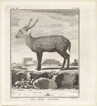 Hert Le Cerf-Cochon (cím az objektumon) alkotó: W. Tringham