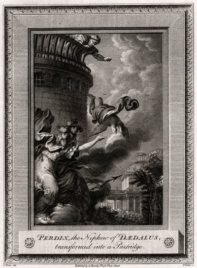 Perdix, Daedalus unokaöccse, aki Partridge-vé változott, 1774 alkotó: W. Walker