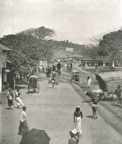 Utcai jelenet a városháza közelében, Colombo, Ceylon, 1895. alkotó: W and S Ltd