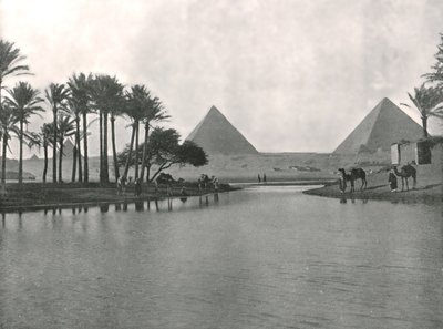 A piramisok és a Nílus, Gize, Egyiptom, 1895. alkotó: W and S Ltd
