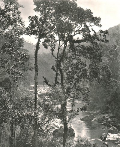 Kilátás a Kelani folyóra, Kurunegala, Ceylon, 1895. alkotó: W and S Ltd