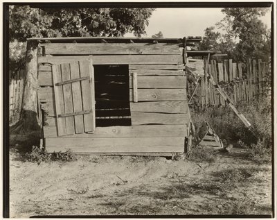 Csirkeól Floyd Burroughs farmján, Hale megye, Alabama alkotó: Walker Evans