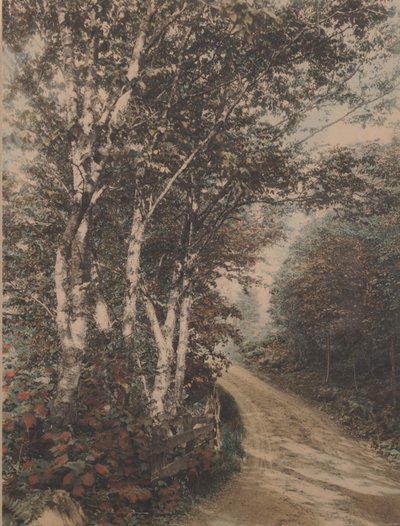 Westmore Drive alkotó: Wallace Nutting