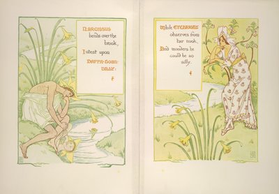 Nárcisz és szemfény alkotó: Walter Crane