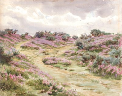 Bell Heather on Setley Plain (akvarell) alkotó: Walter Frederick Roofe Tyndale