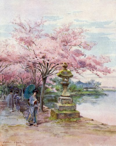 Cseresznyevirág és Kőlámpás, Ueno Park alkotó: Walter Frederick Roofe Tyndale
