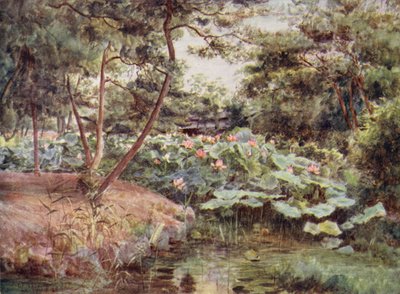 Fenyő és rózsaszín lótuszok Kofuban alkotó: Walter Frederick Roofe Tyndale