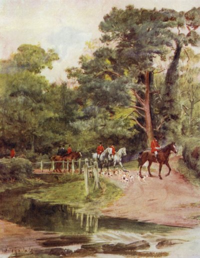 Az új erdő: Minstead Brook (színes litó) alkotó: Walter Frederick Roofe Tyndale