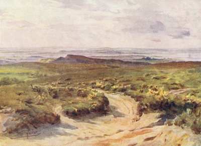 Wessex: Studland Heath, a távolban Poole kikötője (színes litográfia). alkotó: Walter Frederick Roofe Tyndale