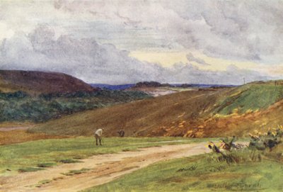 Wessex: Broadstone Golf Links, Poole közelében (színes litográfia) alkotó: Walter Frederick Roofe Tyndale