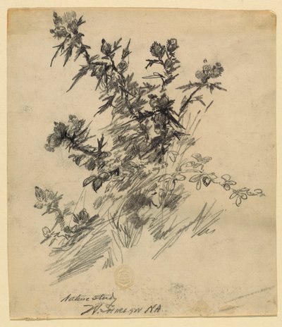 Természeti tanulmány alkotó: Walter Shirlaw